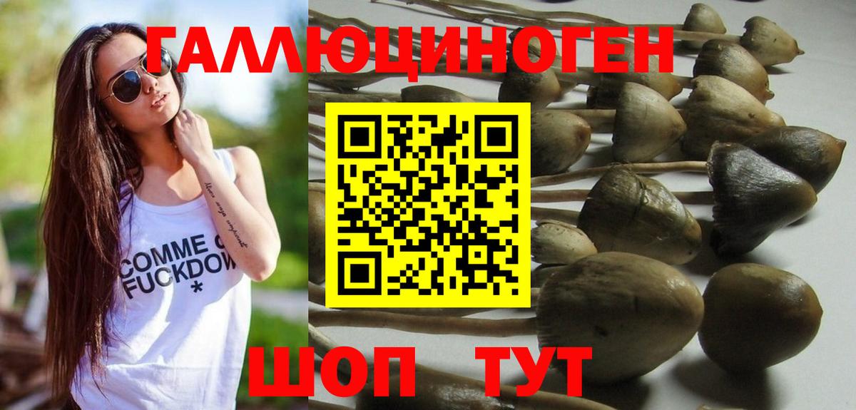 Галлюциногенные грибы Psilocybe  Вход с VPN  Касимов 